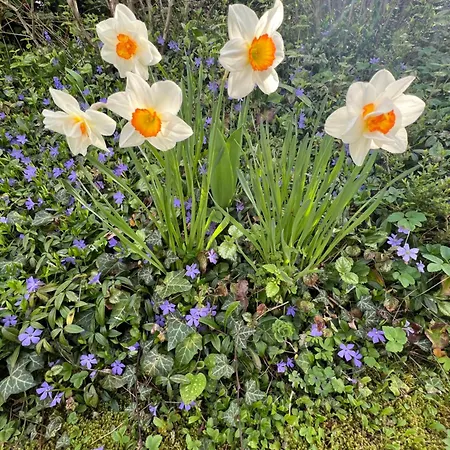 New Spacious House With Large Garden