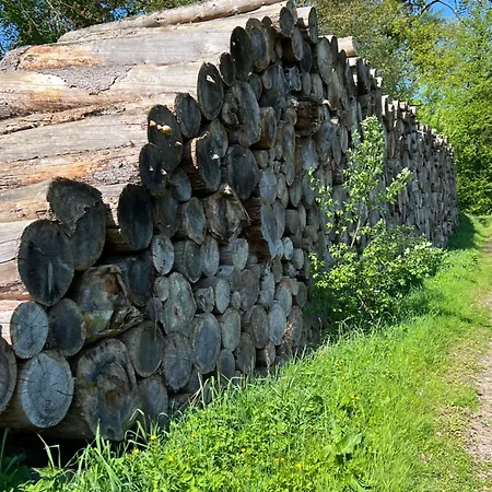 New Spacious House With Large Garden Casa vacanze