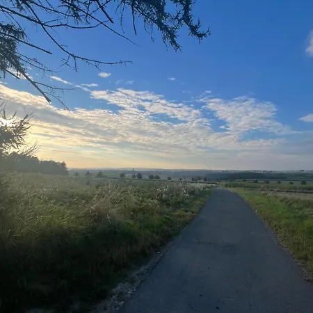 New Spacious House With Large Garden *