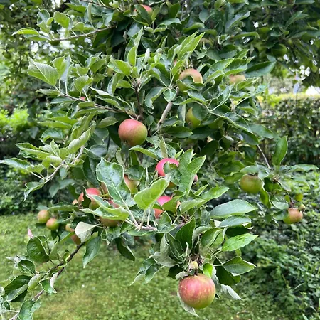 Casa vacanze New Spacious House With Large Garden