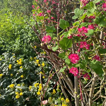 Casa vacanze New Spacious House With Large Garden *