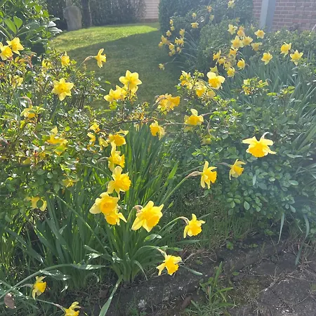 Casa vacanze New Spacious House With Large Garden Warburg