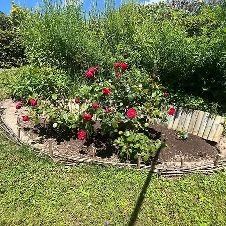 New Spacious House With Large Garden