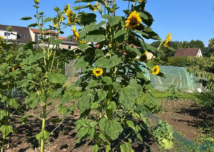 New Spacious House With Large Garden Warburg