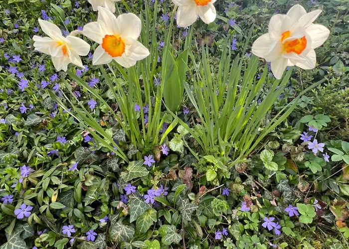 New Spacious House With Large Garden