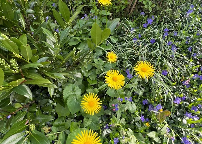 Nyaraló New Spacious House With Large Garden