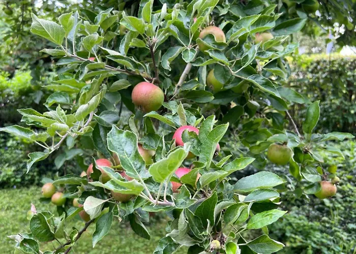 Nyaraló New Spacious House With Large Garden