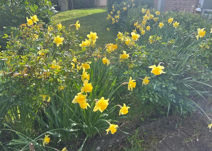 Nyaraló New Spacious House With Large Garden Warburg