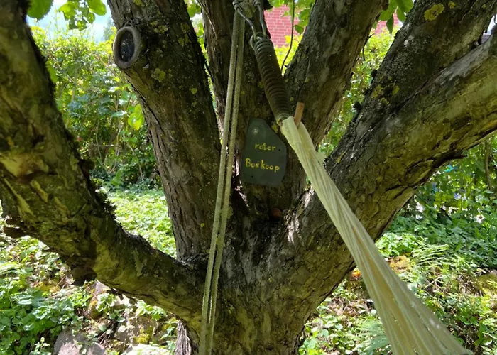 Nyaraló New Spacious House With Large Garden Warburg