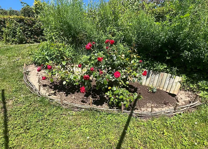 New Spacious House With Large Garden